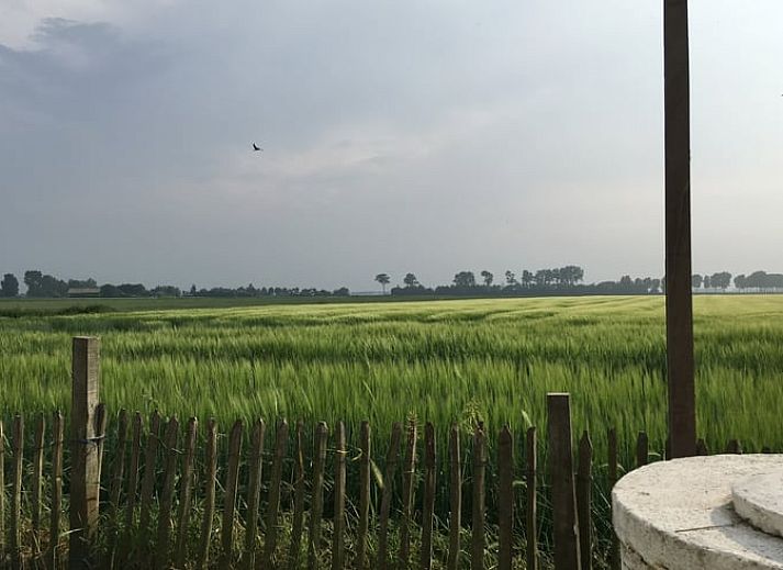 Authentieke vakantiewoning in Walsoorden, Zeeuws-Vlaanderen, met charmant terras en landelijke omgeving.