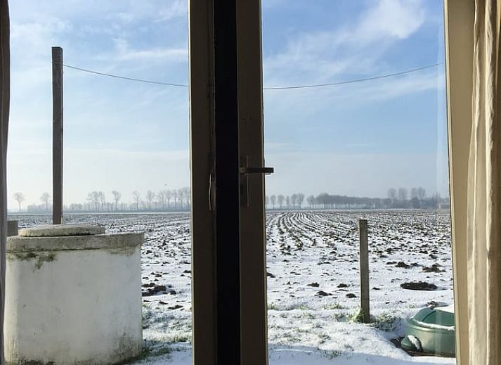 Gezellige buitenruimte van Vakantiehuis in Walsoorden, Zeeuws-Vlaanderen, met uitzicht op de natuur van Zeeland.
