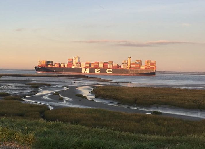 Charmantes reetgedecktes Ferienhaus in Walsoorden, Zeeuws-Vlaanderen, Zeeland.