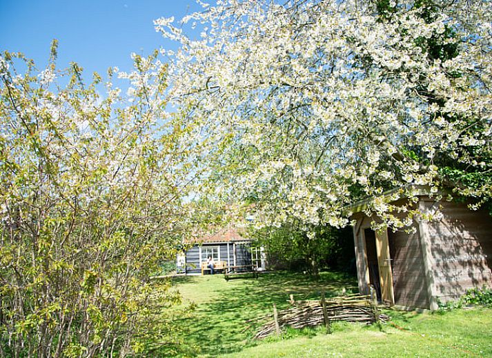 Ferienhaus in Walsoorden, Zeeland Flandern mit rustikaler Fassade und gruener Umgebung.