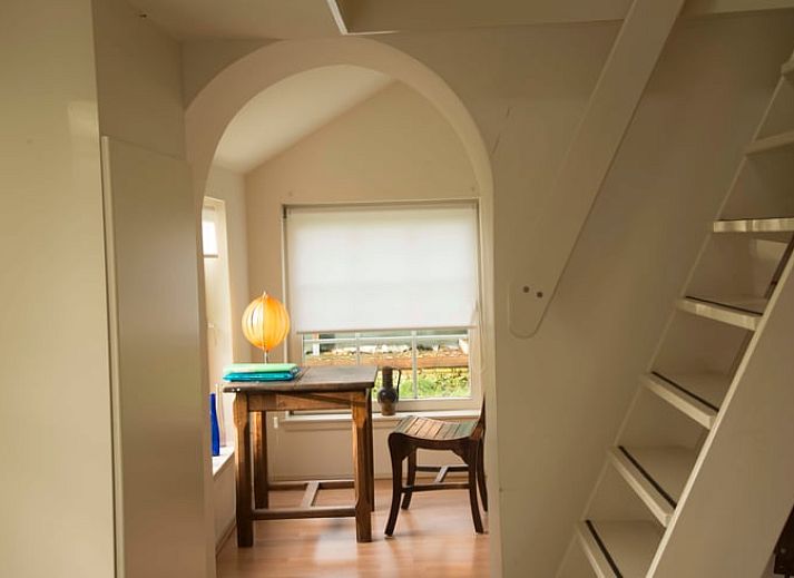 Bluehender Garten im Ferienhaus in Walsoorden, Zeeland Flandern, ideal fuer Naturliebhaber.