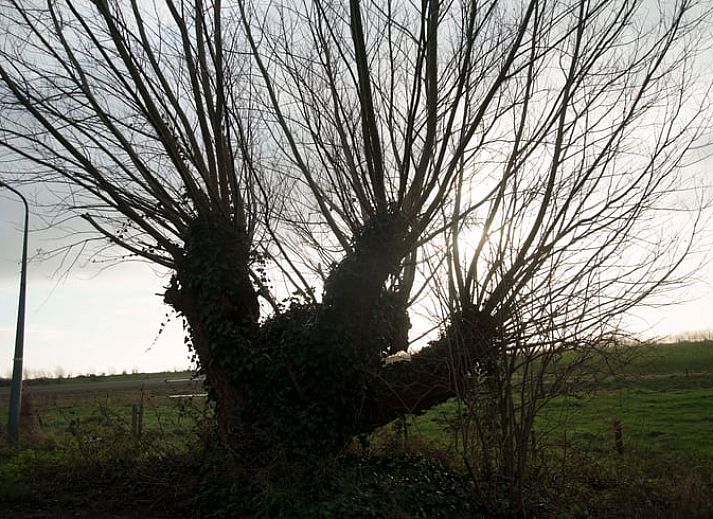 Kleine Scheune neben dem Ferienhaus in Walsoorden, Zeeland Flandern, umgeben von viel Gruen.