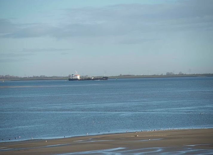 Kleine Scheune neben dem Ferienhaus in Walsoorden, Zeeland Flandern, umgeben von viel Gruen.