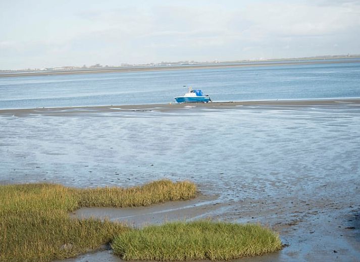 Kleine Scheune neben dem Ferienhaus in Walsoorden, Zeeland Flandern, umgeben von viel Gruen.