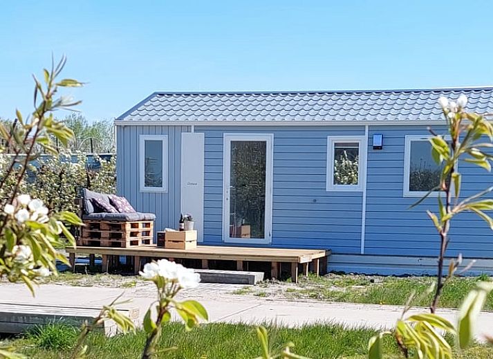 Unterkunft 632110 - Ferienhaus Zeeuws-Vlaanderen - Vakantiehuis in Hengstdijk