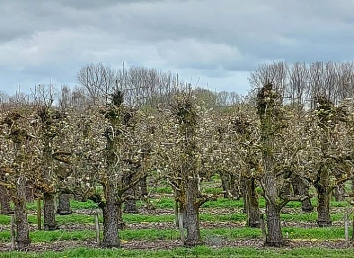 Moderne keuken in Huisje in Hengstdijk, Zeeuws-Vlaanderen, met uitzicht op de natuur van Zeeland.