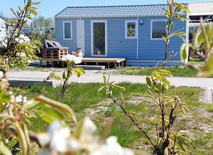 Vakantiehuisje in Hengstdijk, een charmante vakantiewoning in Zeeuws-Vlaanderen met een uitnodigend terras en groene omgeving.