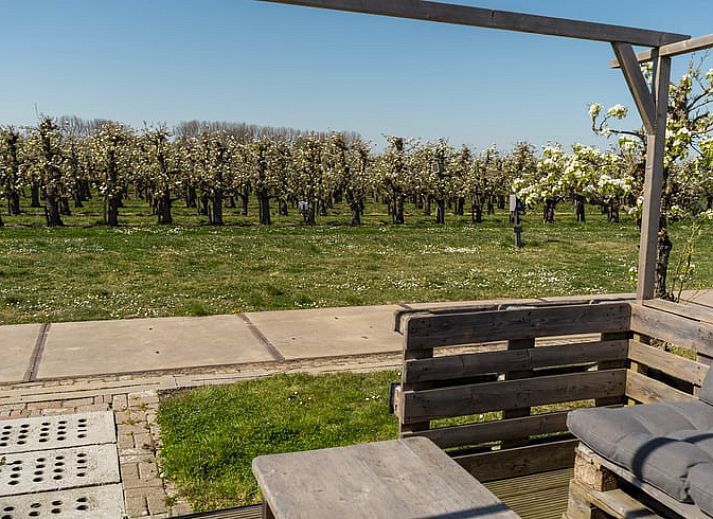 Vakantiehuisje in Hengstdijk, Zeeuws-Vlaanderen met zonnige veranda en groene omgeving, ideaal voor ontspannen verblijf in Zeeland.