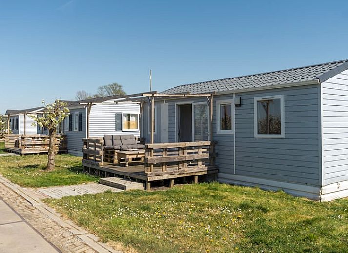 Moderne badkamer in Vakantiehuisje in Hengstdijk, Zeeuws-Vlaanderen, Zeeland met douche en wastafel voor comfortabel verblijf.