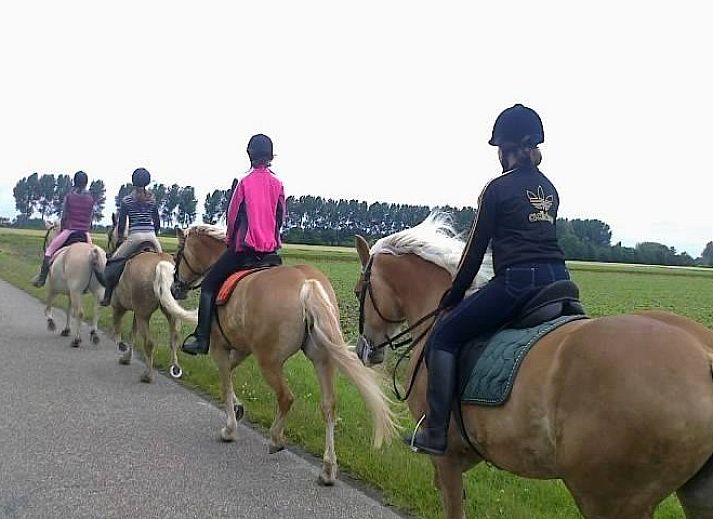 Luchtfoto van Receatieboerderij de Zeemeeuw in Ossenisse, Zeeuws-Vlaanderen, met weids uitzicht over het landschap van Zeeland.