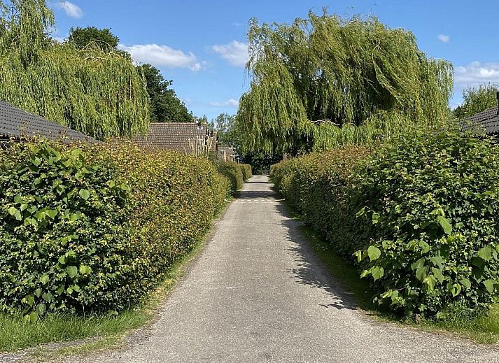 Guest house 632209 - Holiday property Zeeuws-Vlaanderen - VZ852 Vakantiechalet in Ossenisse