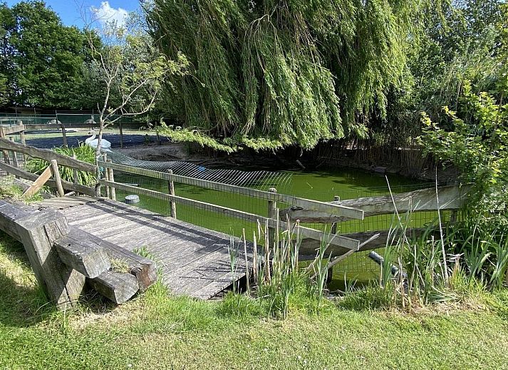 Interior of VZ455 Holiday Chalet Ossenisse with wooden interior and lots of light.