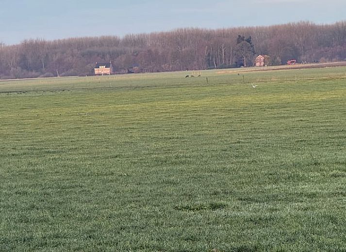 Stijlvolle keuken in Vakantiehuis in Koewacht, ideaal voor zelf koken in Zeeuws-Vlaanderen, Zeeland.