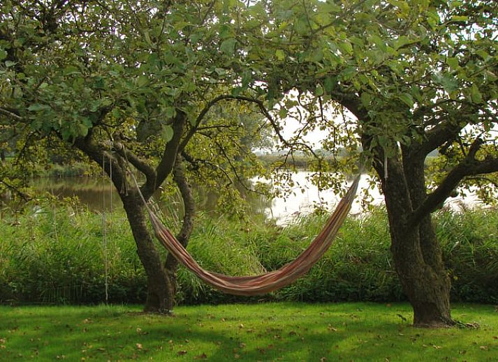 Blick auf die gruene Umgebung und den Fluss im Ferienhaus in Oostburg, ideal fuer Naturliebhaber in Zeeland.
