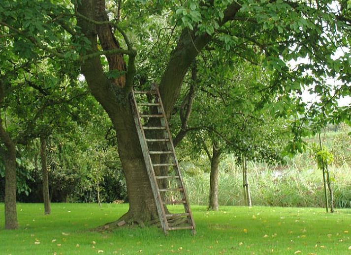 Ruhiger Fluss und natuerliche Schoenheit rund um das Ferienhaus in Oostburg, ein idyllischer Ort in Zeeuws-Vlaanderen, Zeeland.