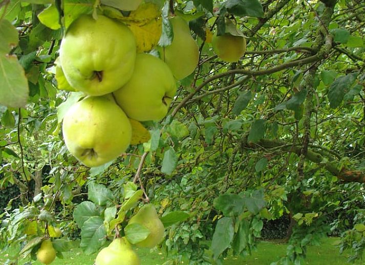 Ruhiger Fluss und natuerliche Schoenheit rund um das Ferienhaus in Oostburg, ein idyllischer Ort in Zeeuws-Vlaanderen, Zeeland.