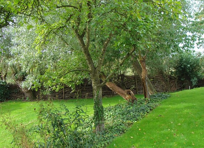 Ruhiger Fluss und natuerliche Schoenheit rund um das Ferienhaus in Oostburg, ein idyllischer Ort in Zeeuws-Vlaanderen, Zeeland.