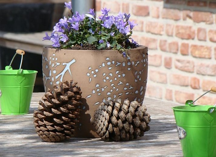 Guest house 632609 - Holiday property Zeeuws-Vlaanderen - Vakantiehuis in Zuidzande