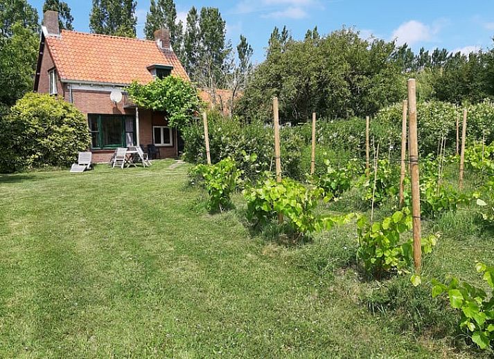 Guest house 632812 • Holiday property Zeeuws-Vlaanderen • Vakantiehuis Camping Cassandria Bad 