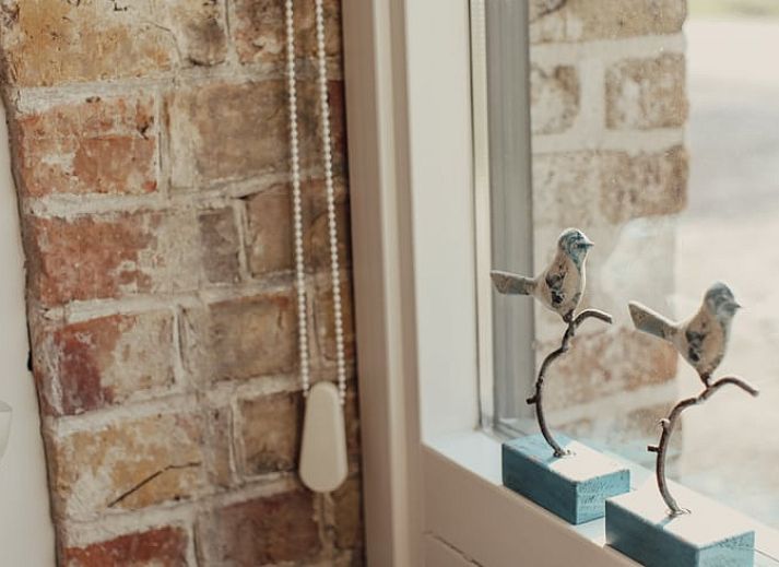 Ruime eetkamer in Vakantiehuisje in Retranchement, Zeeuws-Vlaanderen, Zeeland.