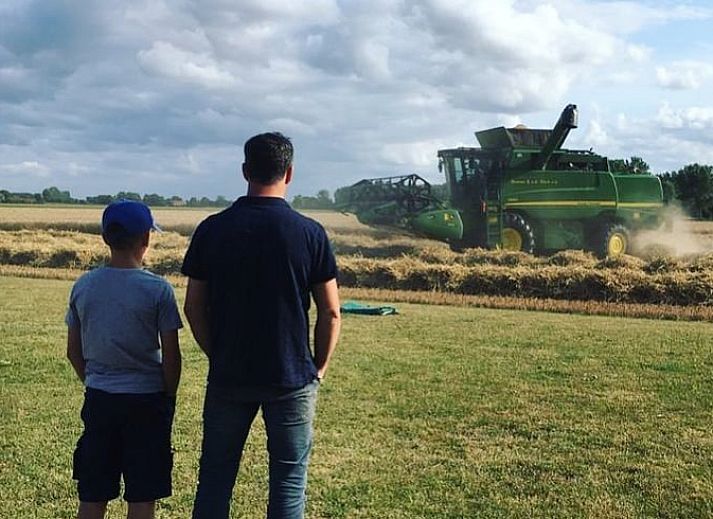 Bloemenveld met uitzicht op Vakantiehuisje in Retranchement, Zeeuws-Vlaanderen, Zeeland.