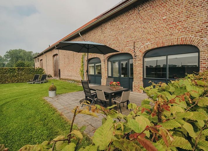 Bloemenveld met uitzicht op Vakantiehuisje in Retranchement, Zeeuws-Vlaanderen, Zeeland.