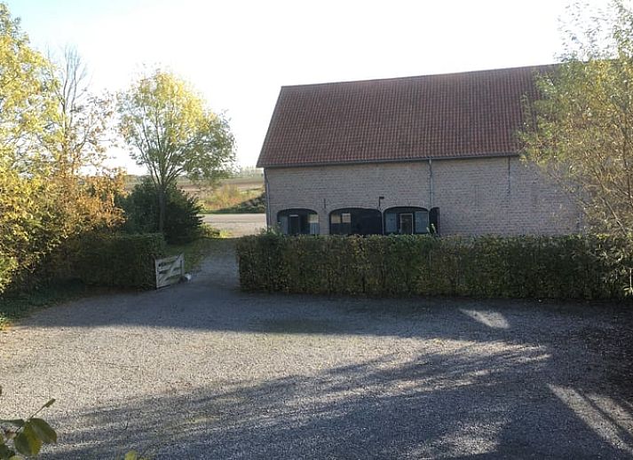 Bloemenveld met uitzicht op Vakantiehuisje in Retranchement, Zeeuws-Vlaanderen, Zeeland.