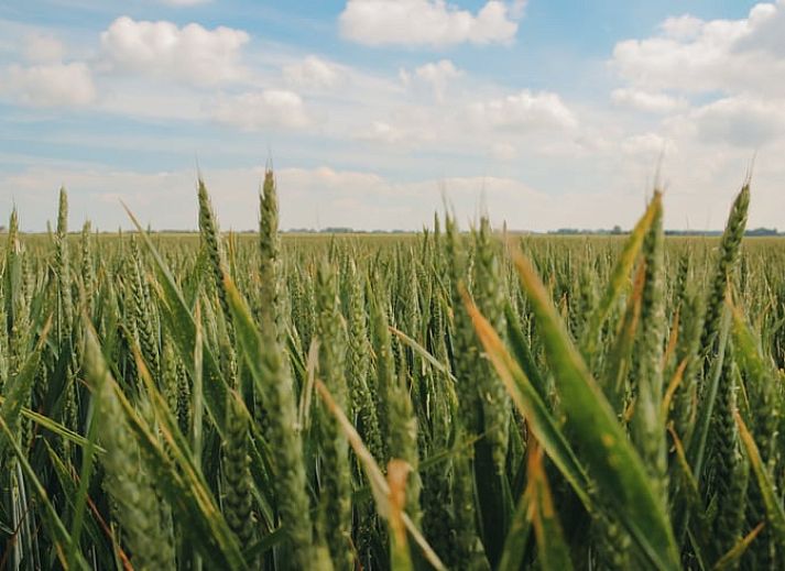 Welkom bord in de gang van Vakantiehuisje in Retranchement, Zeeuws-Vlaanderen, Zeeland.