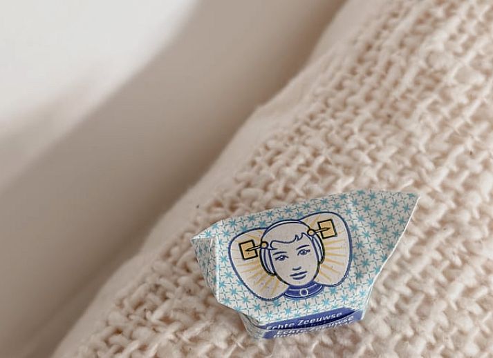 Unterkunft 633002 - Ferienhaus Zeeuws-Vlaanderen - Huisje in Hulst