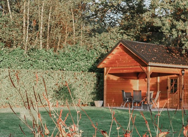 Unterkunft 633002 - Ferienhaus Zeeuws-Vlaanderen - Huisje in Hulst