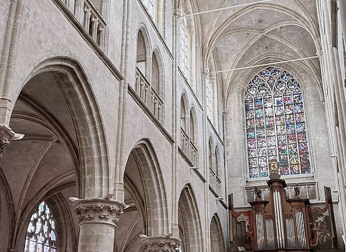 Unterkunft 633002 - Ferienhaus Zeeuws-Vlaanderen - Huisje in Hulst