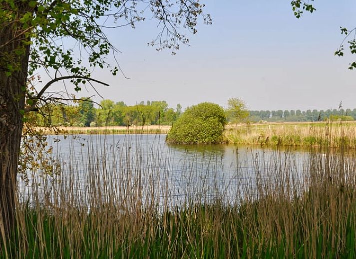 Verblijf 633003 - Vakantiewoning Zeeuws-Vlaanderen - Vakantiehuisje in Hulst