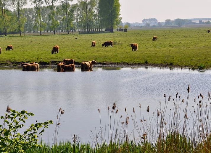Verblijf 633003 - Vakantiewoning Zeeuws-Vlaanderen - Vakantiehuisje in Hulst
