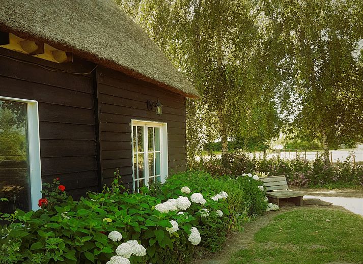 Unterkunft 633110 - Ferienhaus Zeeuws-Vlaanderen - ZE1441