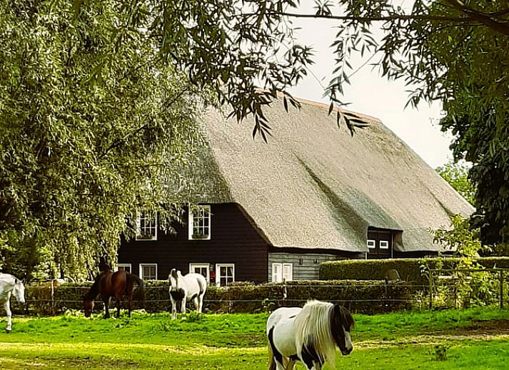 Unterkunft 633111 • Ferienhaus Zeeuws-Vlaanderen • Huisje in IJzendijke