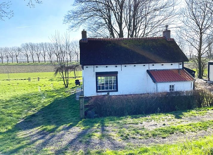 Guest house 633112 • Holiday property Zeeuws-Vlaanderen • Vakantiehuis in IJzendijke