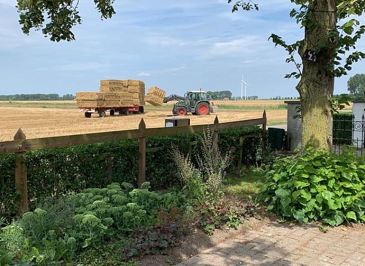 Ingang van Vakantiehuisje in IJzendijke, Zeeuws-Vlaanderen met uitzicht op de velden.