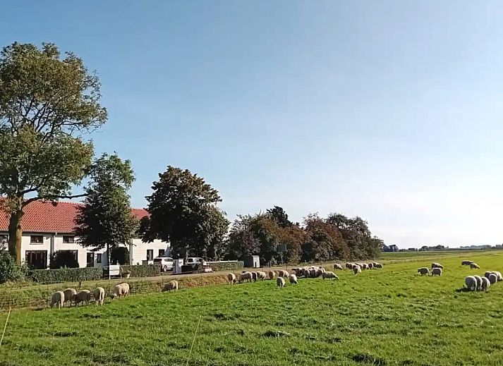 Guest house 633121 - Holiday property Zeeuws-Vlaanderen - Vakantiewoning 'De Oude School'
