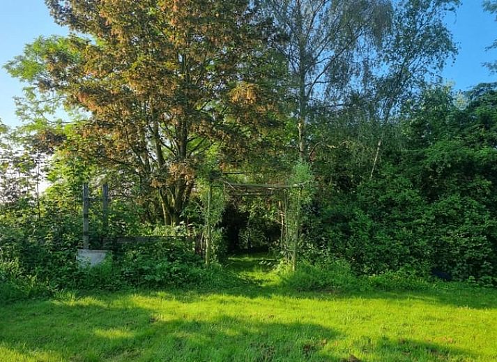 Kampvuur bij Huisje in Terneuzen, vakantiehuis in Zeeuws-Vlaanderen, omgeven door natuur.