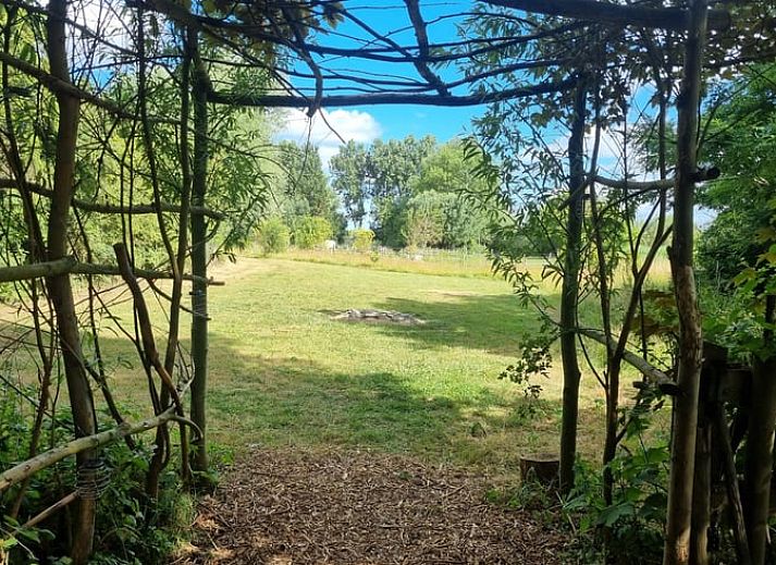 Groen veld met tent bij Huisje in Terneuzen, een serene vakantieaccommodatie in Zeeland.