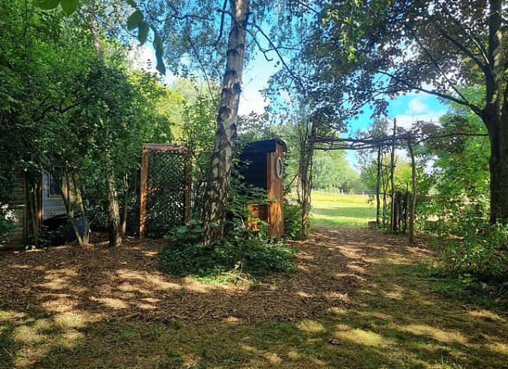 Prachtige tuin bij Huisje in Terneuzen, vakantieaccommodatie in Zeeland met veel groen.