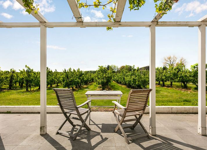 Guest house 633302 • Holiday property Zeeuws-Vlaanderen • Vakantiehuis De Orangerie
