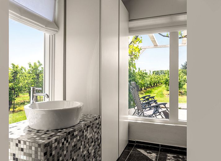Enjoy the view of the vineyard from the veranda of Holiday Home De Orangerie in Zaamslag, Zeeuws-Vlaanderen, Zeeland.