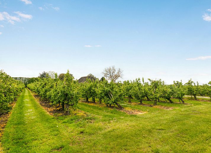 Attractive bedroom with fireplace in Holiday home De Orangerie, Zaamslag, Zeeuws-Vlaanderen, Zeeland.