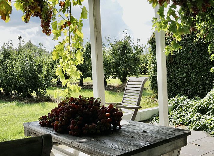 Modern kitchen with a view of nature in Holiday Home De Orangerie, Zaamslag, Zeeuws-Vlaanderen.