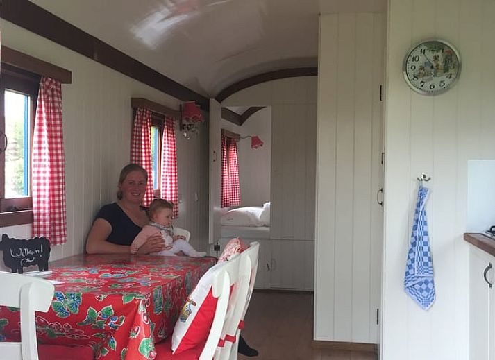 Luftaufnahme von Huisje in Zaamslag, Ferienhaeuser in der gruenen Landschaft von Zaamslag, Zeeuws-Vlaanderen, Zeeland.