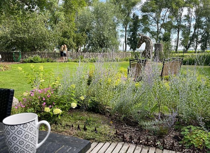 Guest house 633413 - Holiday property Zeeuws-Vlaanderen - Huisje in Hoek