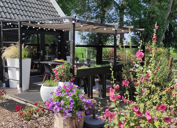 Guest house 633413 - Holiday property Zeeuws-Vlaanderen - Huisje in Hoek