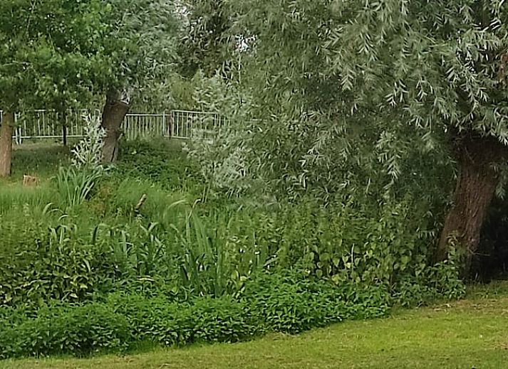 Guest house 633413 - Holiday property Zeeuws-Vlaanderen - Huisje in Hoek