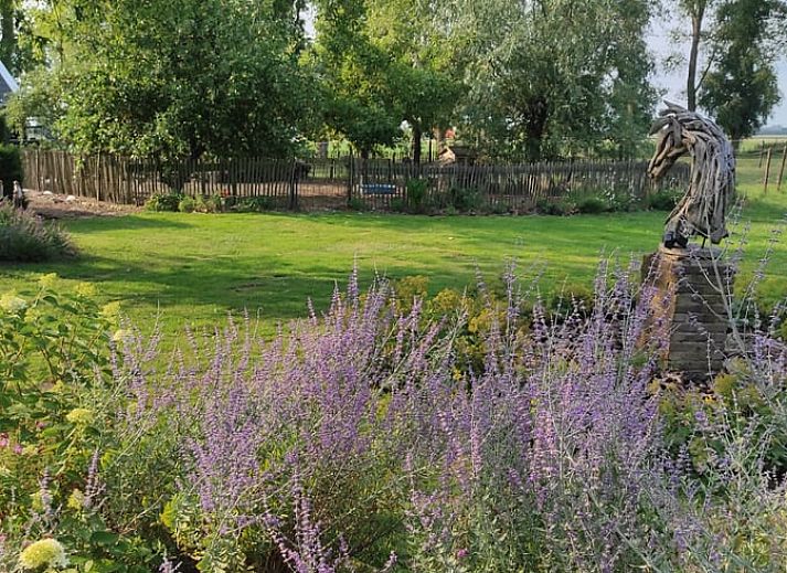 Guest house 633413 - Holiday property Zeeuws-Vlaanderen - Huisje in Hoek